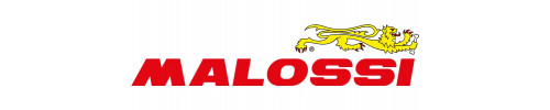 Pi&egrave;ces de rechange Malossi variotop