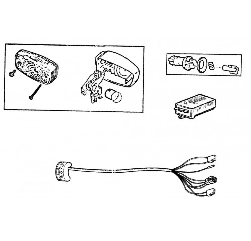 CLIGNOTANTS