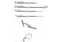GUIDON